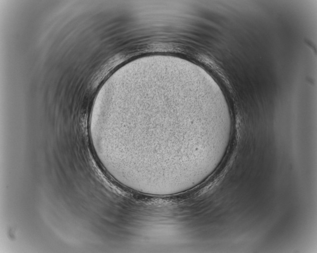 X0000102401033200808221843