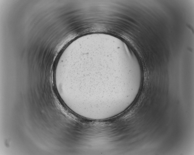 X0000102401034200808221843