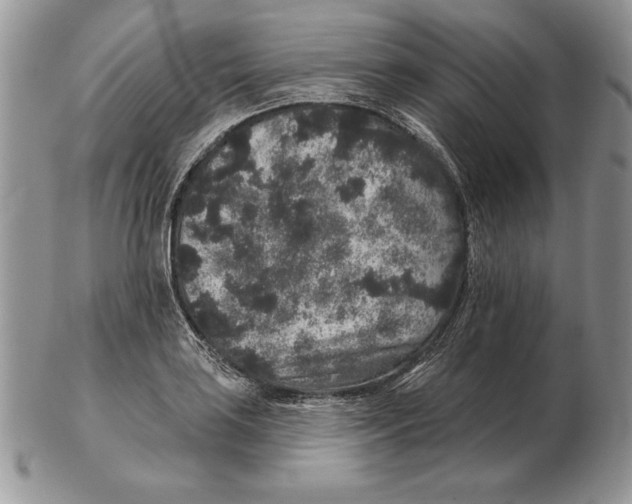 X0000102401035200808221843