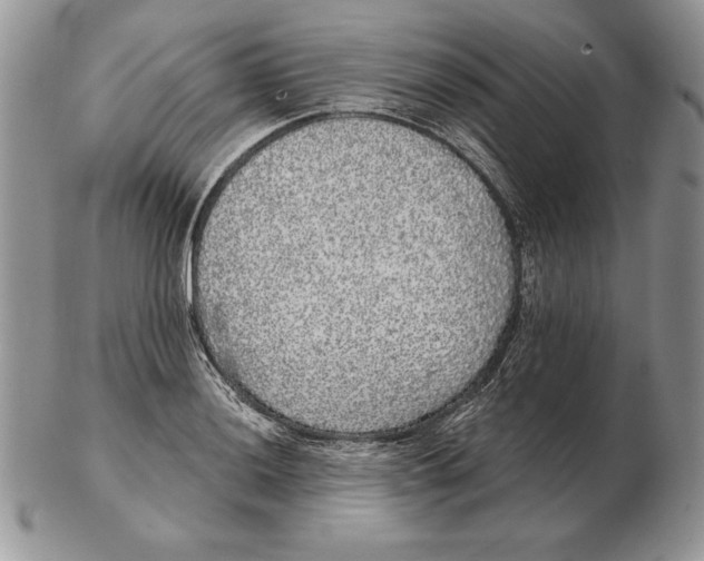 X0000102401036200808221843