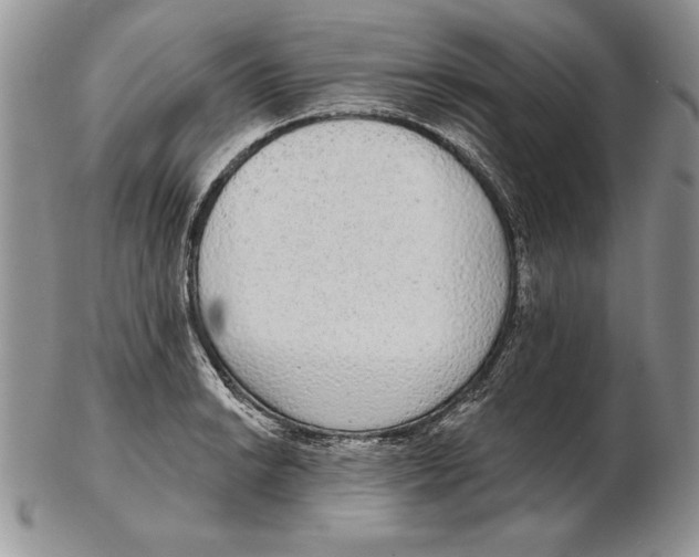X0000102401038200808221843