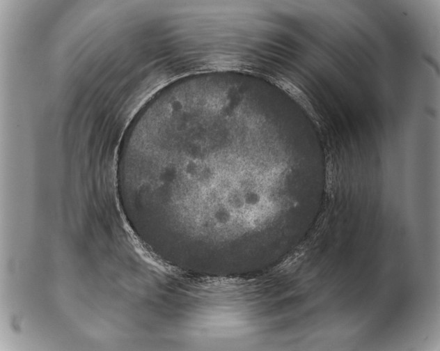 X0000102401039200808221843