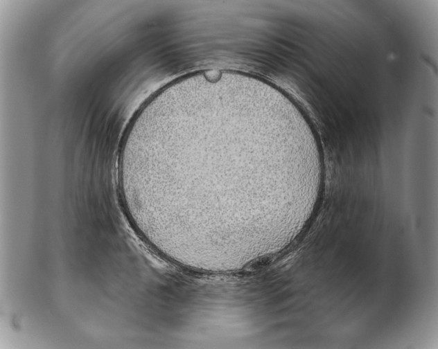 X0000102401040200808221843