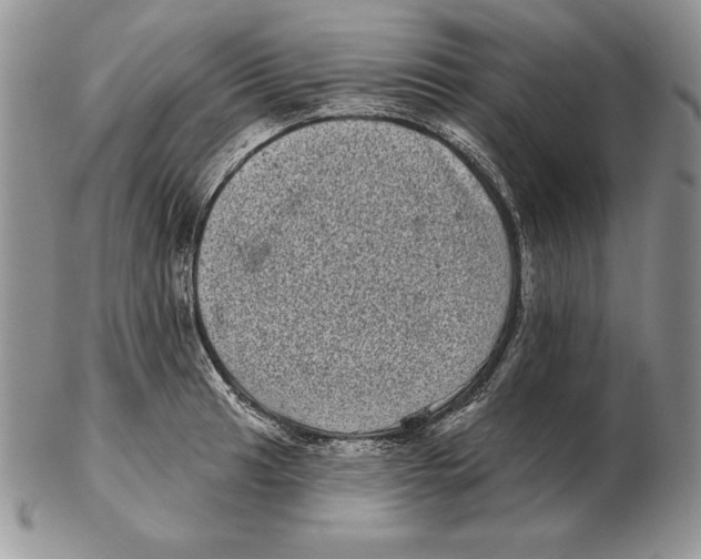 X0000102401041200808221843