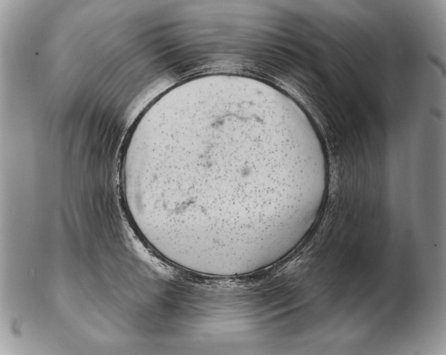 X0000102401042200808221843