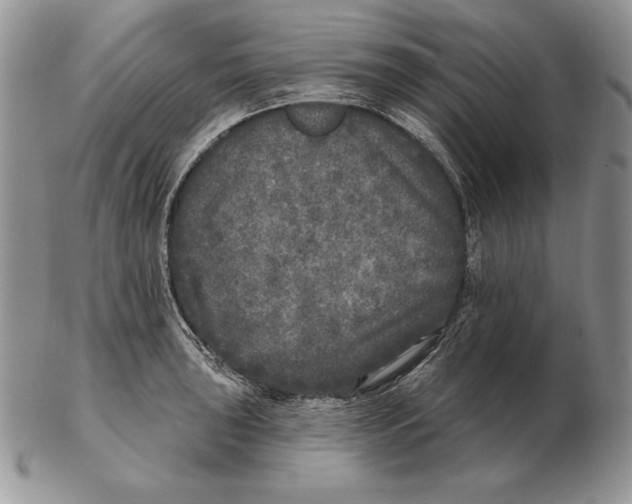 X0000102401043200808221843