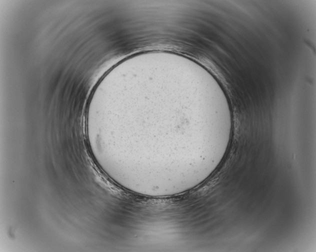 X0000102401044200808221843