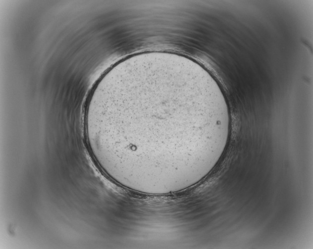 X0000102401046200808221843