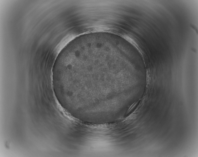 X0000102401047200808221843