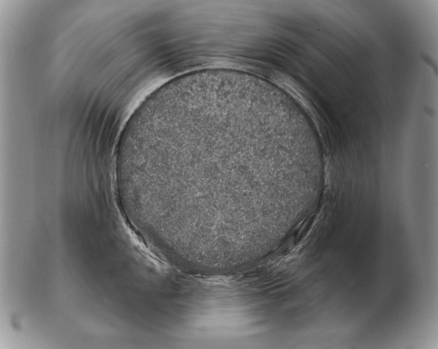 X0000102401048200808221843