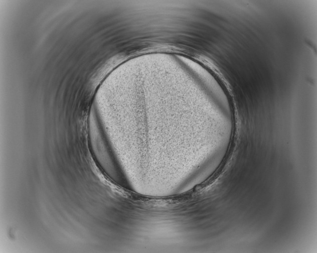 X0000102401049200808221843