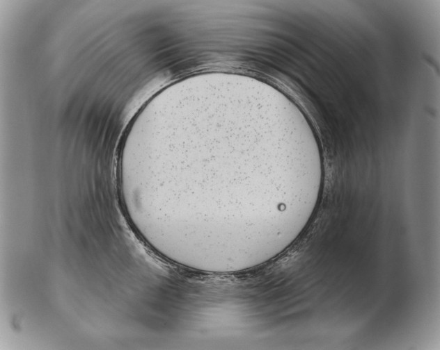X0000102401050200808221843