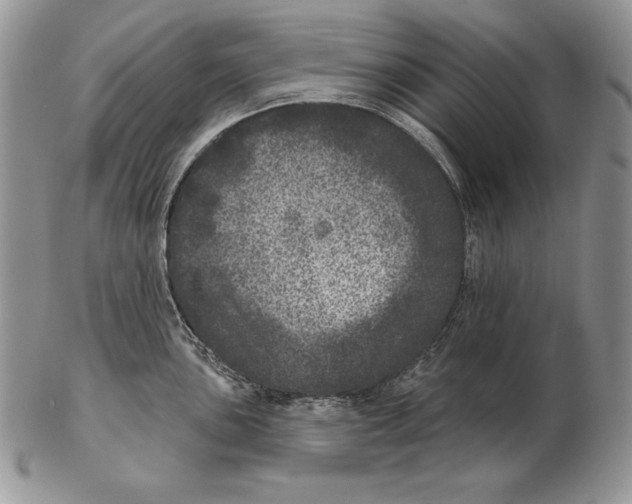 X0000102401051200808221843