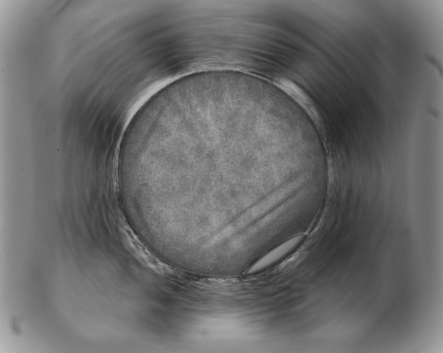 X0000102401052200808221843