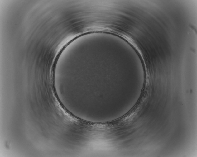 X0000102401053200808221843
