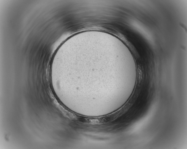 X0000102401054200808221843