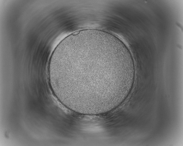 X0000102401056200808221843