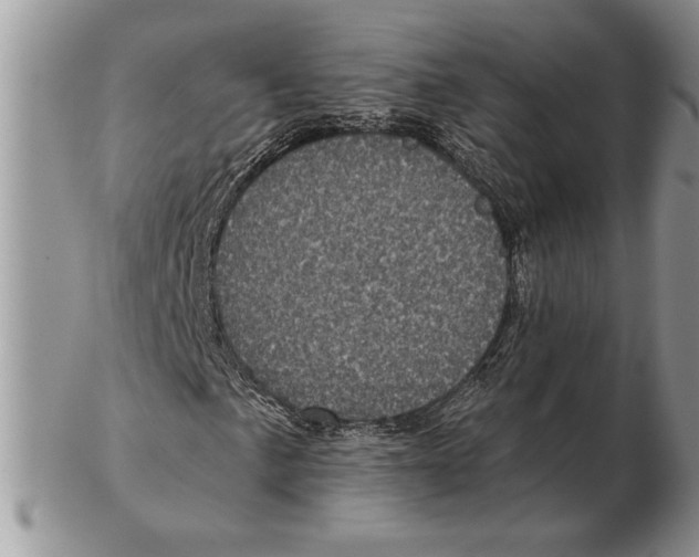 X0000102401057200808221843
