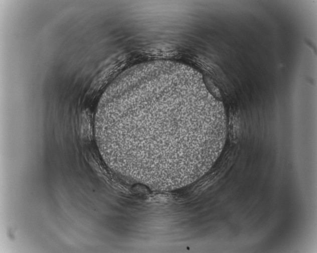 X0000102401058200808221843