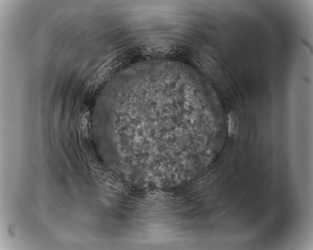 X0000102401059200808221843