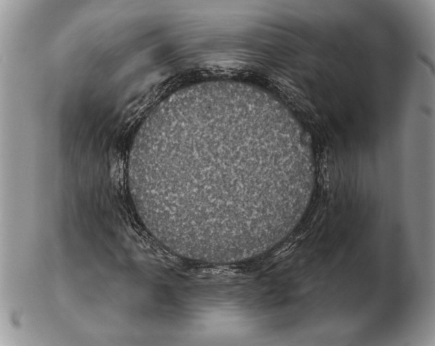 X0000102401061200808221843