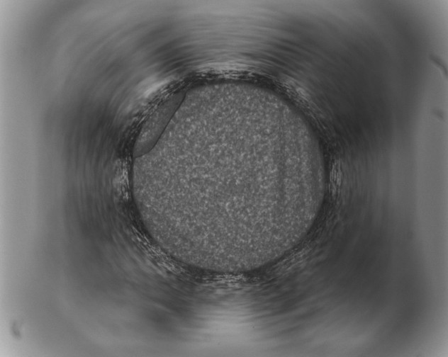 X0000102401062200808221843