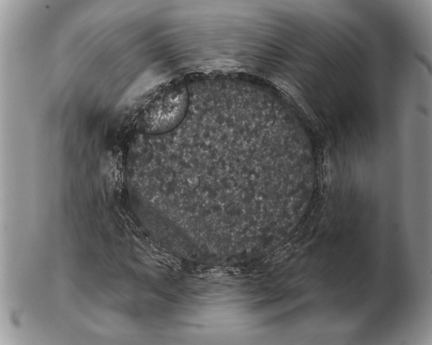 X0000102401063200808221843