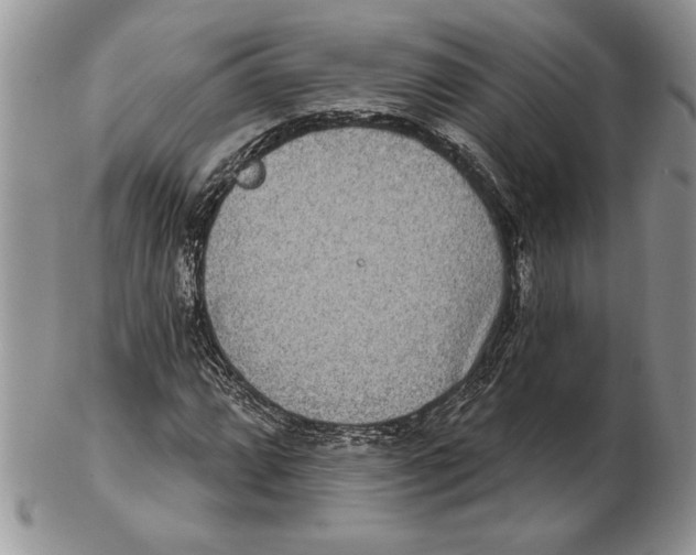 X0000102401064200808221843