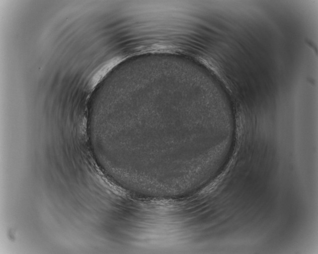 X0000102401066200808221843