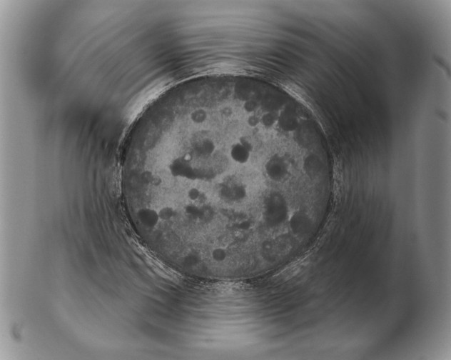 X0000102401067200808221843