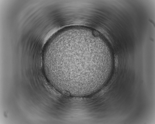 X0000102401069200808221843