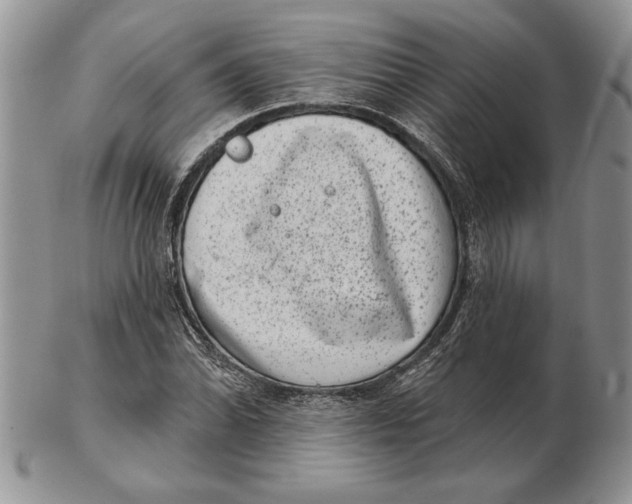 X0000102401070200808221843