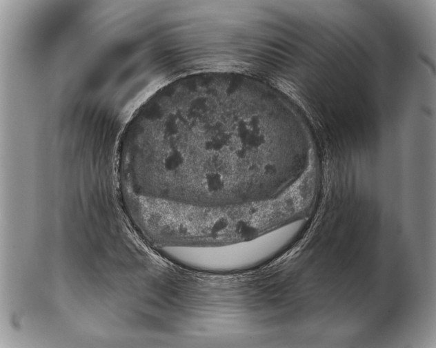 X0000102401071200808221843