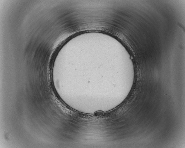 X0000102401072200808221843