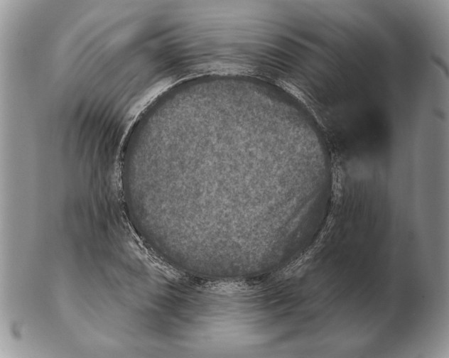 X0000102401074200808221842