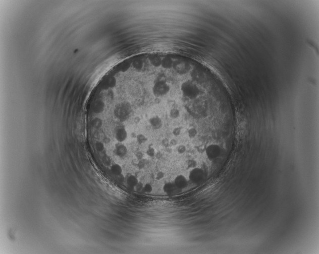 X0000102401075200808221842