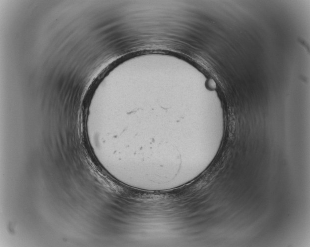 X0000102401076200808221842