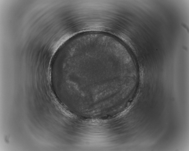 X0000102401077200808221842