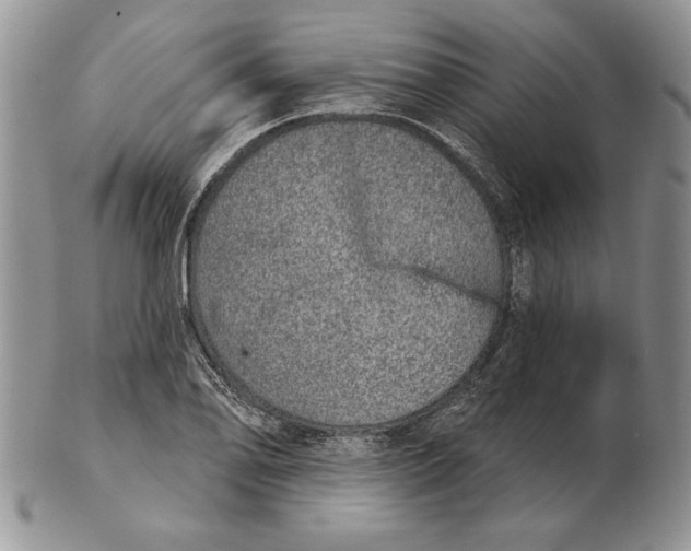 X0000102401078200808221842