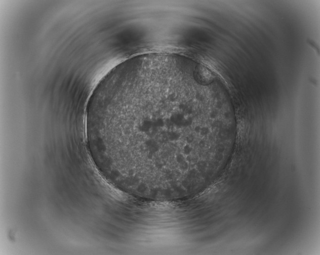 X0000102401079200808221842