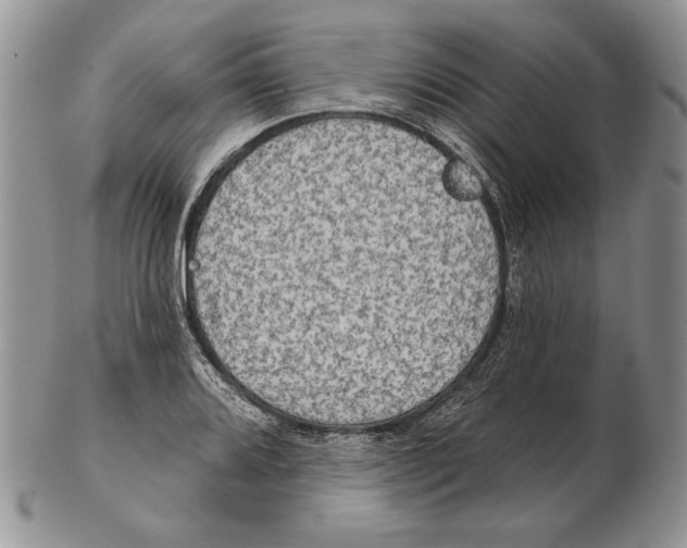 X0000102401080200808221842