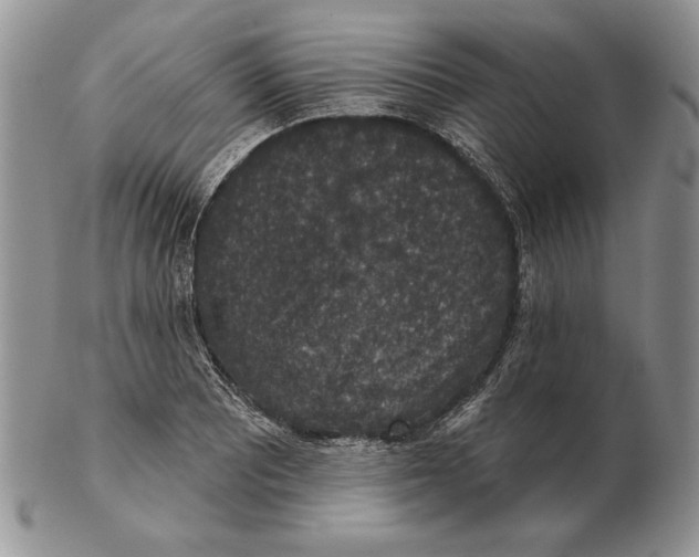 X0000102401081200808221842