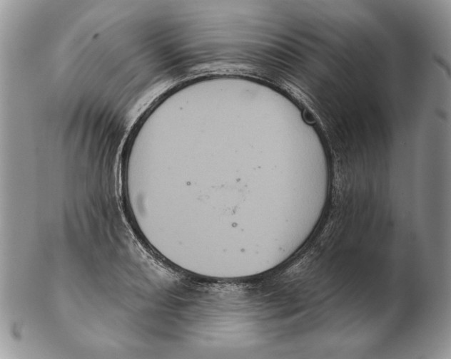 X0000102401082200808221842