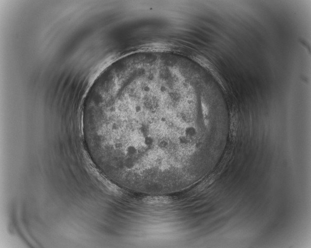 X0000102401083200808221842