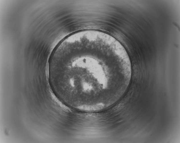 X0000102401084200808221842