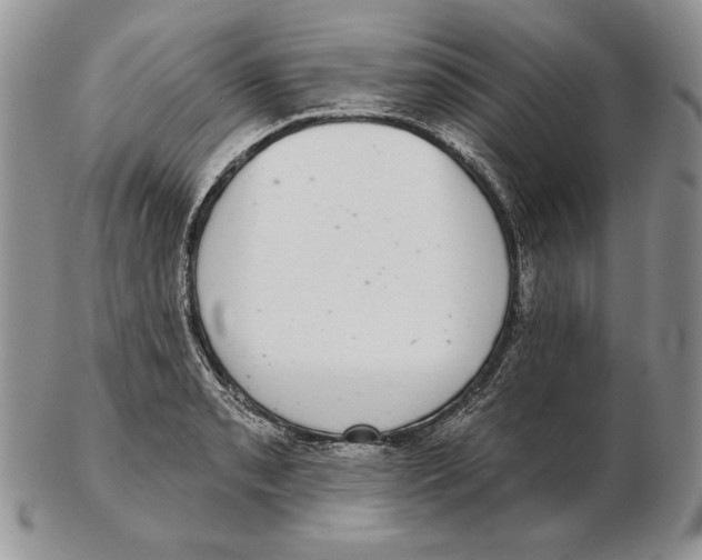 X0000102401085200808221842