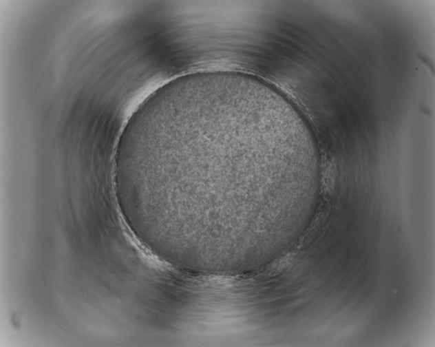 X0000102401086200808221842