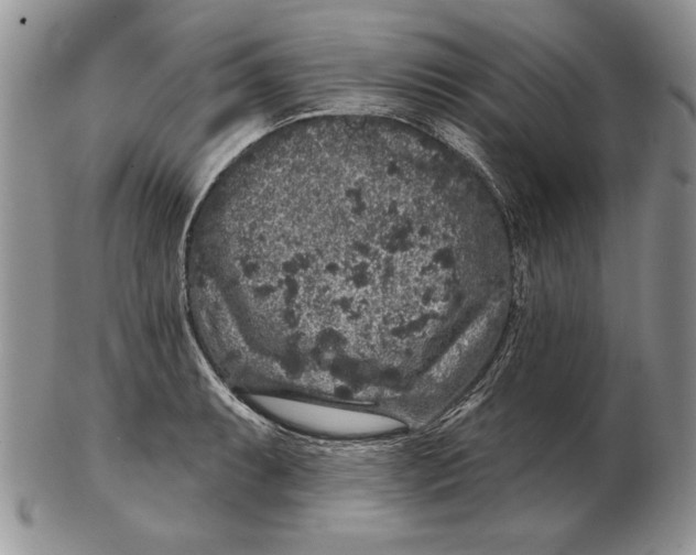 X0000102401087200808221842