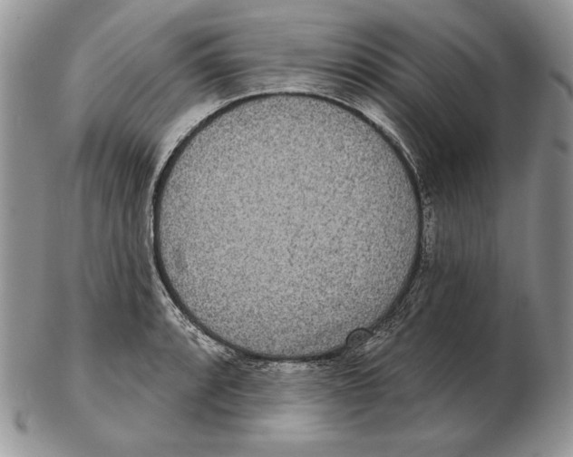 X0000102401088200808221842