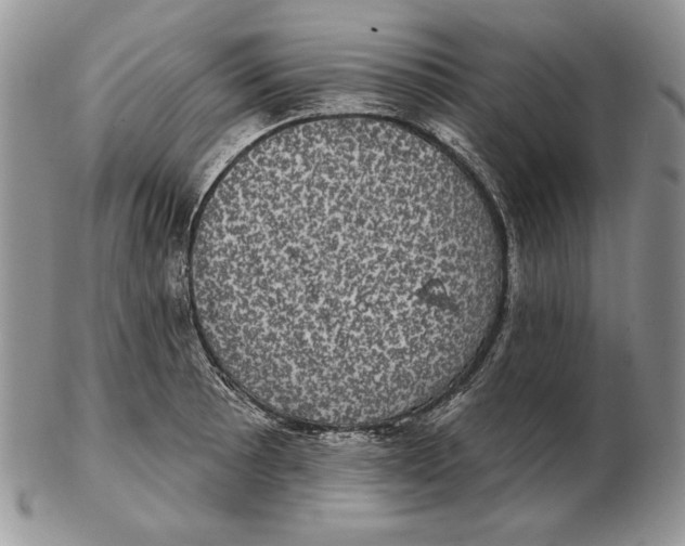 X0000102401089200808221842